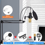 Auxmega™ Professional Condenser 3.5mm Microphone with Mic Stand + Pop Filter